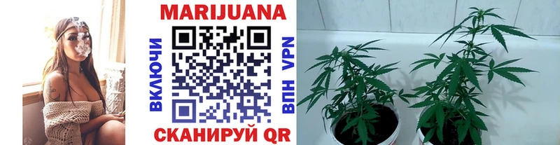Марихуана индика  мега ТОР  Перевоз 